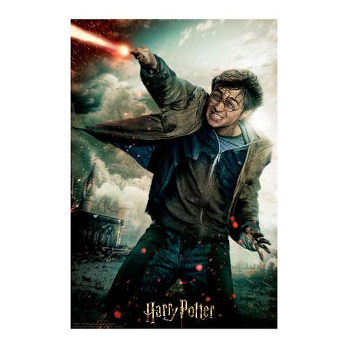 Prime 3D- Redstring - Puzzle lenticular Harry Potter Batalla 300 piezas (Efecto 3D) (1)