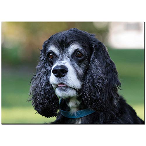 Puzzle de 1000 Piezas Para Adultos Rompecabezas de Madera Cachorro de perro negro cocker spaniel Entretenimiento Juguetes Regalo educativo Decoración moderna para el hogar