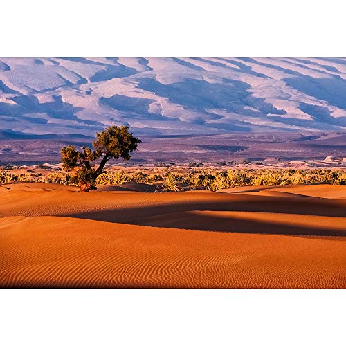 Puzzle Un Ardiente Oasis del Desierto Jigsaw Madera For La Serie For Adultos Juguetes Educativos Aliviar El Estrés Regalo De La Decoración 500/1000/2000/3000 Piezas 0810 (Size : 500 Pieces)