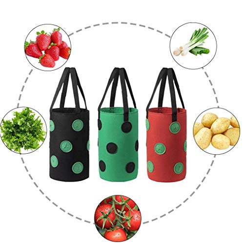 Runfun Fresa Crecer Bolsa Bolso Colgante de la Planta de contenedores Transpirable Tejido 13 Agujeros con Asas para Flores de Las Frutas Verduras Rojas