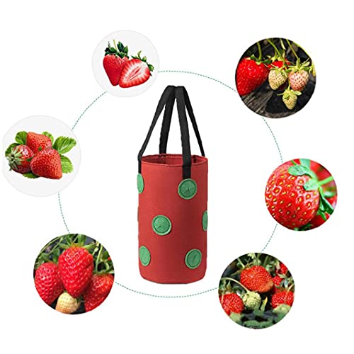 Runfun Fresa Crecer Bolsa Bolso Colgante de la Planta de contenedores Transpirable Tejido 13 Agujeros con Asas para Flores de Las Frutas Verduras Rojas