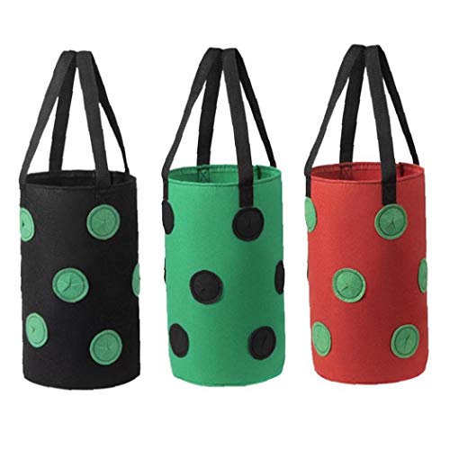 Runfun Fresa Crecer Bolsa Bolso Colgante de la Planta de contenedores Transpirable Tejido 13 Agujeros con Asas para Flores de Las Frutas Verduras Verdes