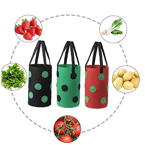 Runfun Fresa Crecer Bolsa Bolso Colgante de la Planta de contenedores Transpirable Tejido 13 Agujeros con Asas para Flores de Las Frutas Verduras Verdes