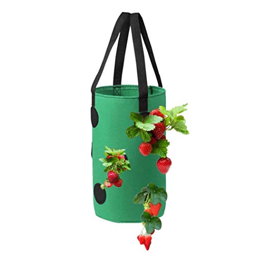 Runfun Fresa Crecer Bolsa Bolso Colgante de la Planta de contenedores Transpirable Tejido 13 Agujeros con Asas para Flores de Las Frutas Verduras Verdes