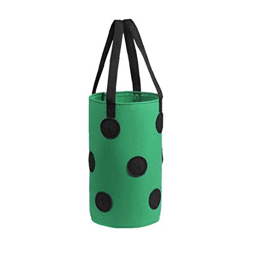 Runfun Fresa Crecer Bolsa Bolso Colgante de la Planta de contenedores Transpirable Tejido 13 Agujeros con Asas para Flores de Las Frutas Verduras Verdes