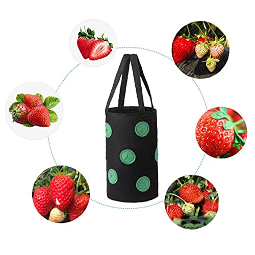 Runfun Fresa Crecer Bolsa Bolso Colgante de la Planta de contenedores Transpirable Tejido 13 Agujeros con Asas para Frutas Verduras Flores Negras