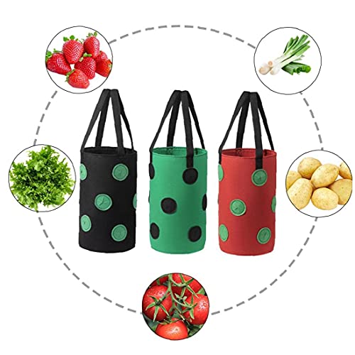 Runfun Fresa Crecer Bolsa Bolso Colgante de la Planta de contenedores Transpirable Tejido 13 Agujeros con Asas para Frutas Verduras Flores Negras