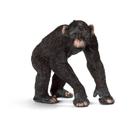 Schleich - Figura chimpancé Macho (14678)