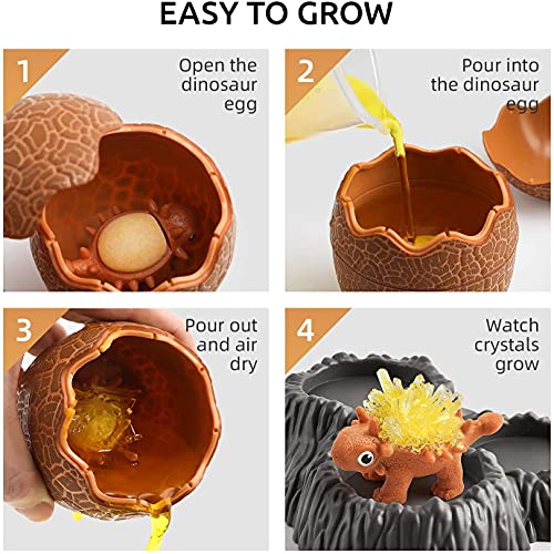 Science Can Kit de Cristales Deluxe - Kit de Ciencias para Niños de 8 Años - Set Stem de Cultiva Tus Propios Cristales con Vaso Medidor, Agitador, Huevos de Dinosaurio, Semillas y Polvo de Cristal