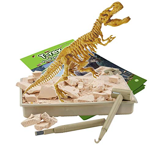 Science4you - T-Rex Excavaciones Fósiles - Juguete Educativo con Dinosaurios, Destruye Bloques con Fósiles, Incluye Libro Educativo y Aprende sobre Paleontología, Manualidades para Niños +6 ãnos