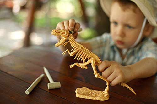 Science4you - T-Rex Excavaciones Fósiles - Juguete Educativo con Dinosaurios, Destruye Bloques con Fósiles, Incluye Libro Educativo y Aprende sobre Paleontología, Manualidades para Niños +6 ãnos