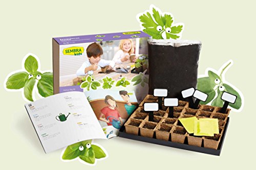 SEMBRA - juego educativo, Kit huerto Aromáticas