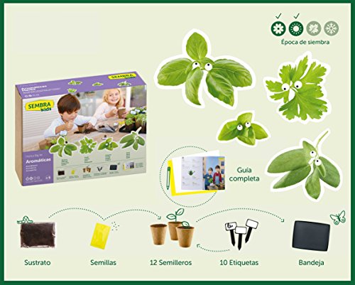 SEMBRA - juego educativo, Kit huerto Aromáticas