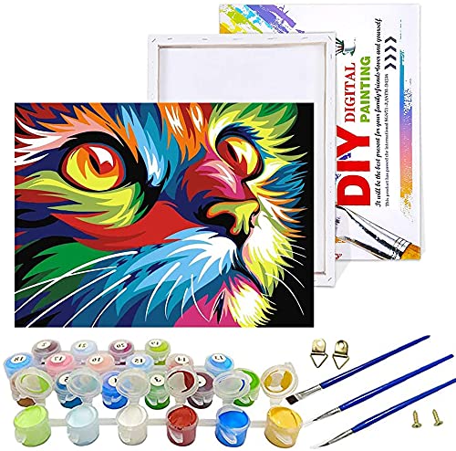 SHUIBIAN Pintura por Números para Adultos, Kit de Pintura al óleo de Lienzo DIY para Niños con Pinceles, Pigmento Acrílico, con Marco de 50 X 40 cm