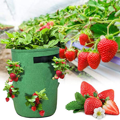 Six6 6pcs Planta Crece Bolsas, Fresa Plantación Fieltro plantación de Tela del Bolso del envase Espesar Jardín Pot Home Garden Bolsas Herramienta para el jardín