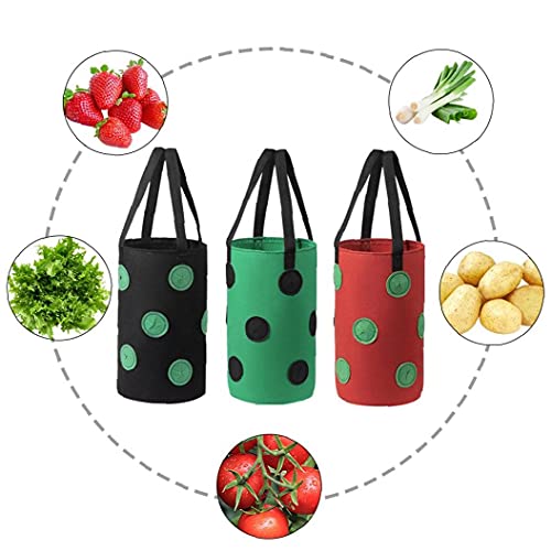 SouiWuzi Fresa Crecer Bolsa Bolso Colgante de la Planta de contenedores Transpirable Tejido 13 Agujeros con Asas para Flores de Las Frutas Rojas Verduras, hortalizas y Frutas de