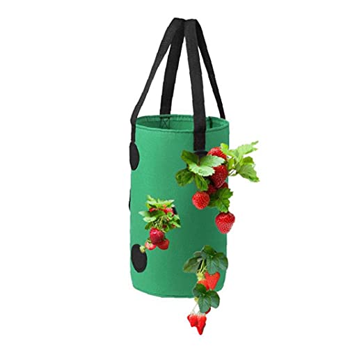 SouiWuzi Fresa Crecer Bolsa Bolso Colgante de la Planta de contenedores Transpirable Tejido 13 Agujeros con Asas para Flores de Las Frutas Verduras, hortalizas y Frutas de