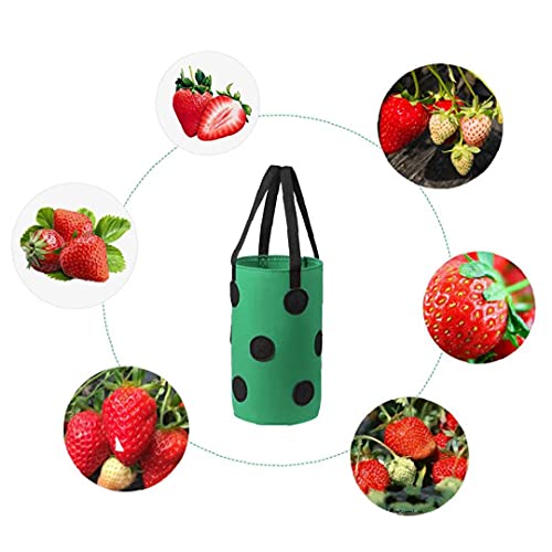 SouiWuzi Fresa Crecer Bolsa Bolso Colgante de la Planta de contenedores Transpirable Tejido 13 Agujeros con Asas para Flores de Las Frutas Verduras, hortalizas y Frutas de