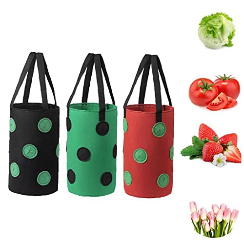 SouiWuzi Fresa Crecer Bolsa Bolso Colgante de la Planta de contenedores Transpirable Tejido 13 Agujeros con Asas para Flores de Las Frutas Verduras Negro, para hortalizas y Frutas