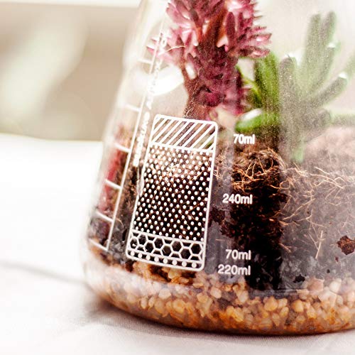 SUCK UK Chemistry Terrarium Kit Terrario de Laboratorio, Claro, 22.5x12x12 cm