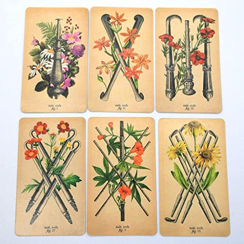 Tarjetas de tarot de anatomía antigua, tarjetas de tarot y juegos de libros introductorios, 78 piezas/conjunto, apto para reuniones con familiares y amigos