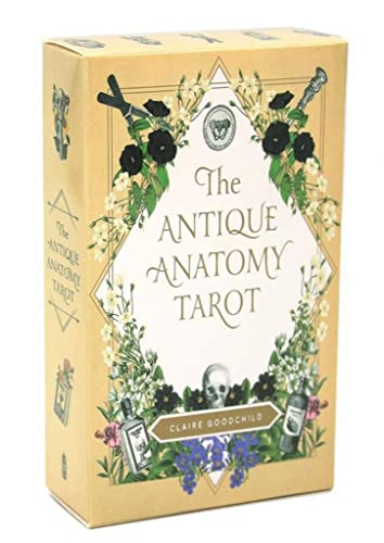 Tarjetas de tarot de anatomía antigua, tarjetas de tarot y juegos de libros introductorios, 78 piezas/conjunto, apto para reuniones con familiares y amigos