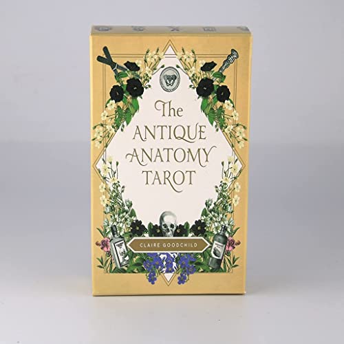 Tarjetas de tarot de anatomía antigua, tarjetas de tarot y juegos de libros introductorios, 78 piezas/conjunto, apto para reuniones con familiares y amigos