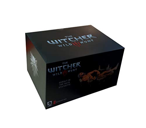 The Witcher - Figura Geralt de Rivia, multicolor, talla única (Dark Horse Comics AUG180391)