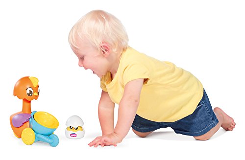 Toomies E72723C Tomy Pop and Hatch Juguete de Empuje a lo Largo, Lanzador de gallina para niños y niñas de 9 Meses, 1 y 2 años, Varios