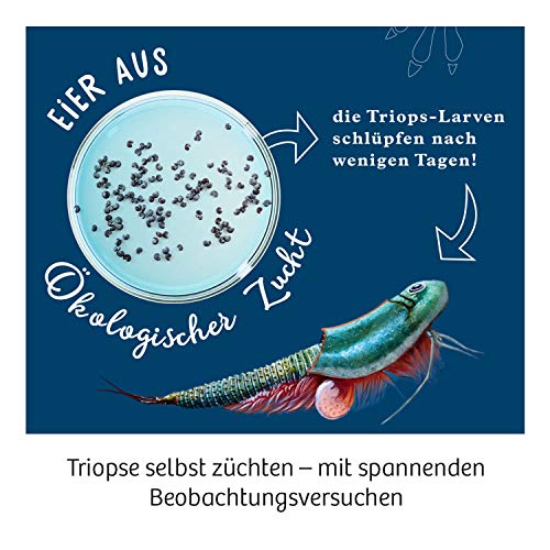 Triops-Welt: Experimentierkasten