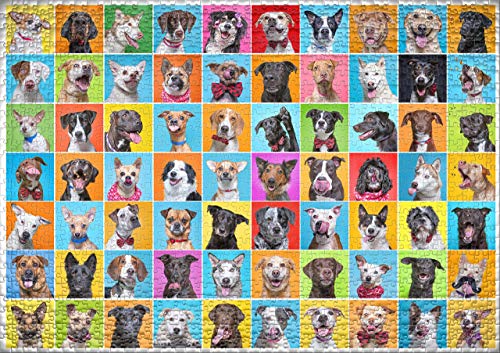 Ulmer Puzzleschmiede - Puzzle Collage de Perros - Puzzle de 1000 Piezas - Collage de Fotos con 80 alegres Retratos de Perros