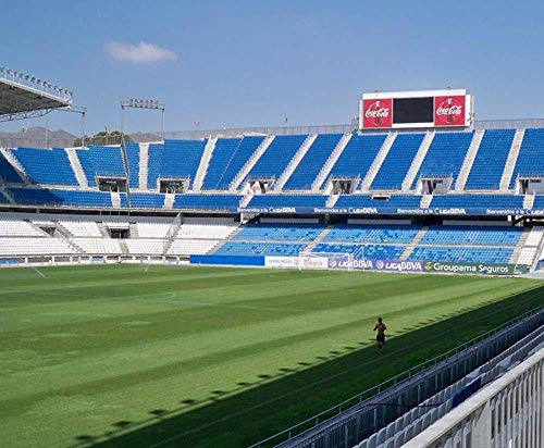 WAN Modelo de Rompecabezas Deportivo 3D, Modelo de Estadio de fútbol Málaga Club La Rosaleda Modelo Juguetes (14.9 Pulgadas X10.1 Pulgadas X 3 Pulgadas)