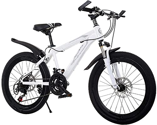 WENHAO 21 Bicicleta de montaña de velocidad variable de velocidad, for una rueda de 26 pulgadas for adultos, viajar en bicicleta, hombres, mujeres, carreras de carreras, ciclismo deportivo, for entorn