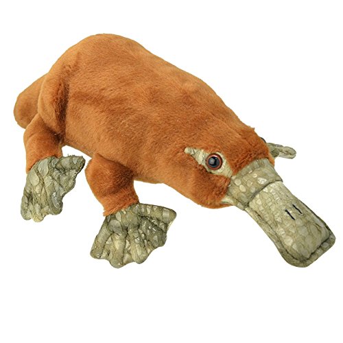 Wild Planet All About Nature - Peluche Ornitorrinco, Multicolor, 41 cm