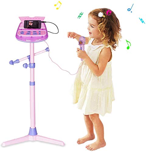 WISHTIME- Micrófono Musicales, Soporte Ajustable para Karaoke con función de música Externa y Luces Intermitentes, Juguete niñas (Hanji ZM16038VINE)