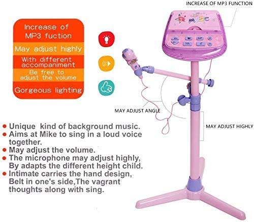 WISHTIME- Micrófono Musicales, Soporte Ajustable para Karaoke con función de música Externa y Luces Intermitentes, Juguete niñas (Hanji ZM16038VINE)