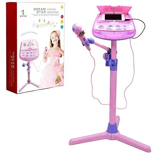 WISHTIME- Micrófono Musicales, Soporte Ajustable para Karaoke con función de música Externa y Luces Intermitentes, Juguete niñas (Hanji ZM16038VINE)