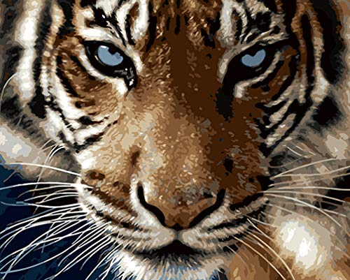 WONZOM DIY Pintura por Números para Adultos, Pintar por Numeros Kits sobre Lienzo DIY Pintura al óleo para Niños Principiantes, Tigre Feroz Animal 16 * 20 Pulgadas Sin Marco