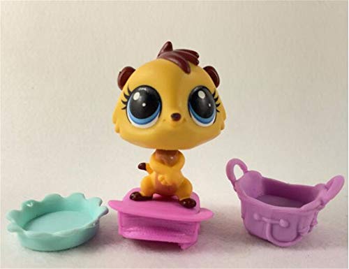 WooMax 5 Piezas Littlest Pet Shop Toys LPS Toys Cute Stands Cat Dog Old Rare Original Figure Animal Collection Kitten Collie Spaniel