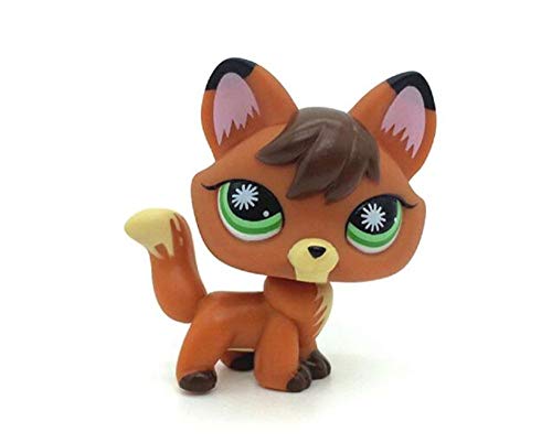 WOOMAX Littlest Pet Shop Juguete LPS Naranja Rojizo Marr¨®n Firefox Fox Green Eyes Perro LPS # 807 para Ni?os Ni?as Ni?os Regalo