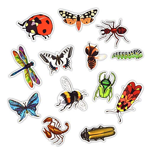 XCVBN Etiqueta engomada del Insecto de la Naturaleza Mariposa Hormiga Mariquita Aprendizaje temprano Pegatinas educativas para niños para Scrapbook Bike Equipaje Laptop 50 Piezas