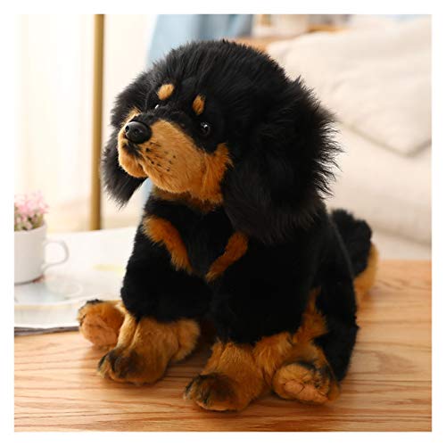 YSQSPWS Peluche Life Real Stare Francia Bulldog Chihuahua Juguetes DE PELIGUD DE PELIGROSA Soft LIFELIBLE Dog PRINCIPIANDO NIÑOS NIÑOS NIÑOS Regalo de cumpleaños