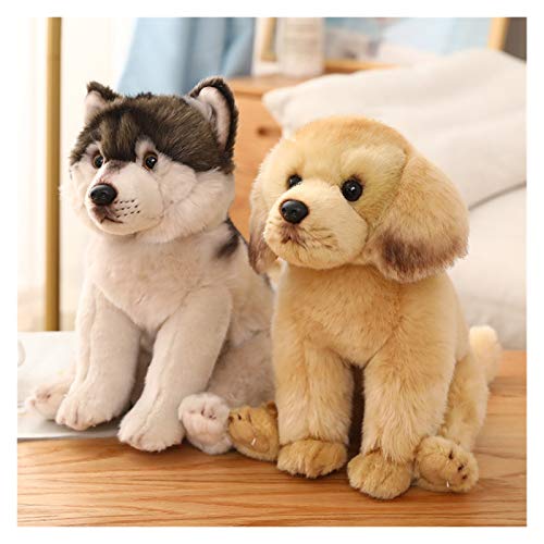 YSQSPWS Peluche Life Real Stare Francia Bulldog Chihuahua Juguetes DE PELIGUD DE PELIGROSA Soft LIFELIBLE Dog PRINCIPIANDO NIÑOS NIÑOS NIÑOS Regalo de cumpleaños