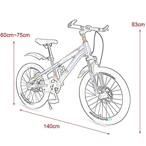 YUCHEN- Bicicletas for niños Bicicleta for niños Bicicleta de 20 pulgadas Ciclismo y niñas Ciclismo, Variable Speed ​​Mountain Mountain Bike Student Double Disc Freno Absorción de descarga de choques