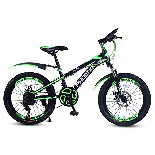 YUCHEN- Bicicletas for niños Bicicleta for niños Bicicleta de 20 pulgadas Ciclismo y niñas Ciclismo, Variable Speed ​​Mountain Mountain Bike Student Double Disc Freno Absorción de descarga de choques