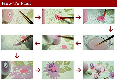 YXQSED Paquete de 3 [Madera enmarcada] Pintura al óleo de DIY por Números, Pintura por Número de Kits-Mujer Elegante 20x20 Inch