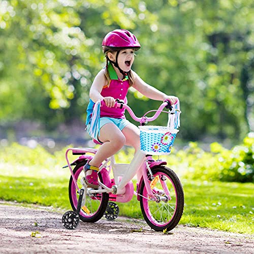 Zaaqio Ruedines Bici 20 Pulgadas Ruedines Bici para Bicicletas de Niños,Verde Ruedines Bici Infantil