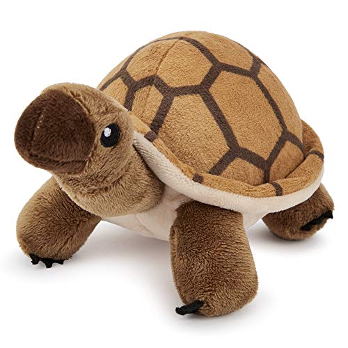 Zappi Co. Tortuga de Peluche para niños Peluche de Animal de la Selva Safari (Pequeño, 5-6 Pulgadas, 12-15CM Tortuga) Genial para el Primer cumpleaños de un niño recién Nacido