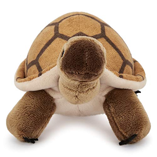 Zappi Co. Tortuga de Peluche para niños Peluche de Animal de la Selva Safari (Pequeño, 5-6 Pulgadas, 12-15CM Tortuga) Genial para el Primer cumpleaños de un niño recién Nacido