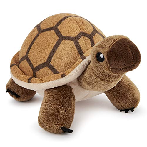 Zappi Co. Tortuga de Peluche para niños Peluche de Animal de la Selva Safari (Pequeño, 5-6 Pulgadas, 12-15CM Tortuga) Genial para el Primer cumpleaños de un niño recién Nacido